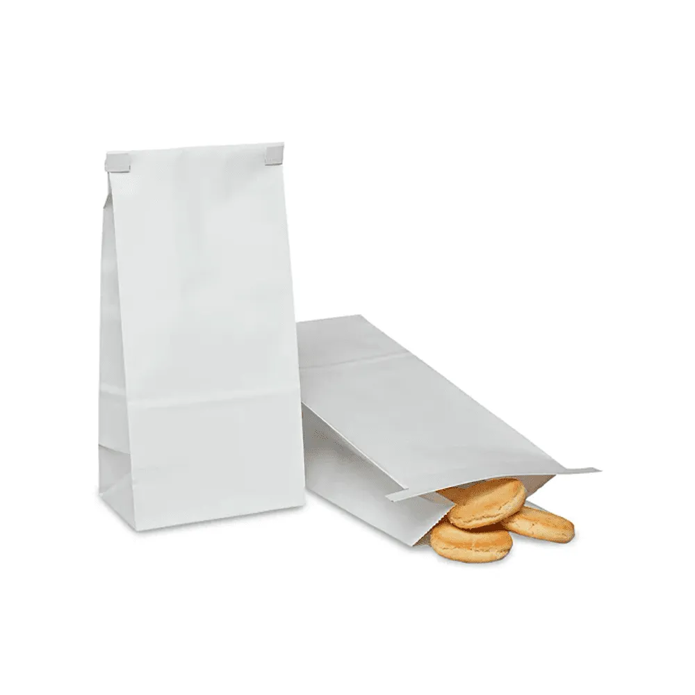 BOLSA DE ALIMENTOS