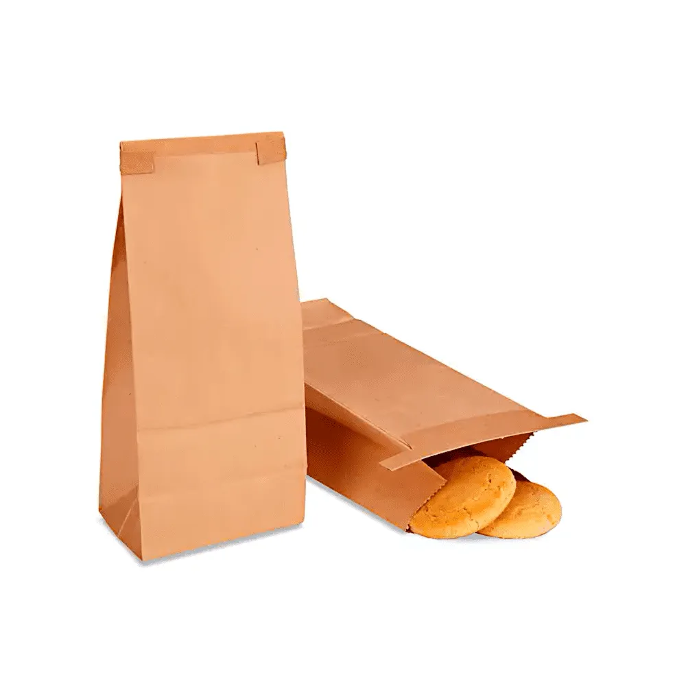BOLSA DE ALIMENTOS
