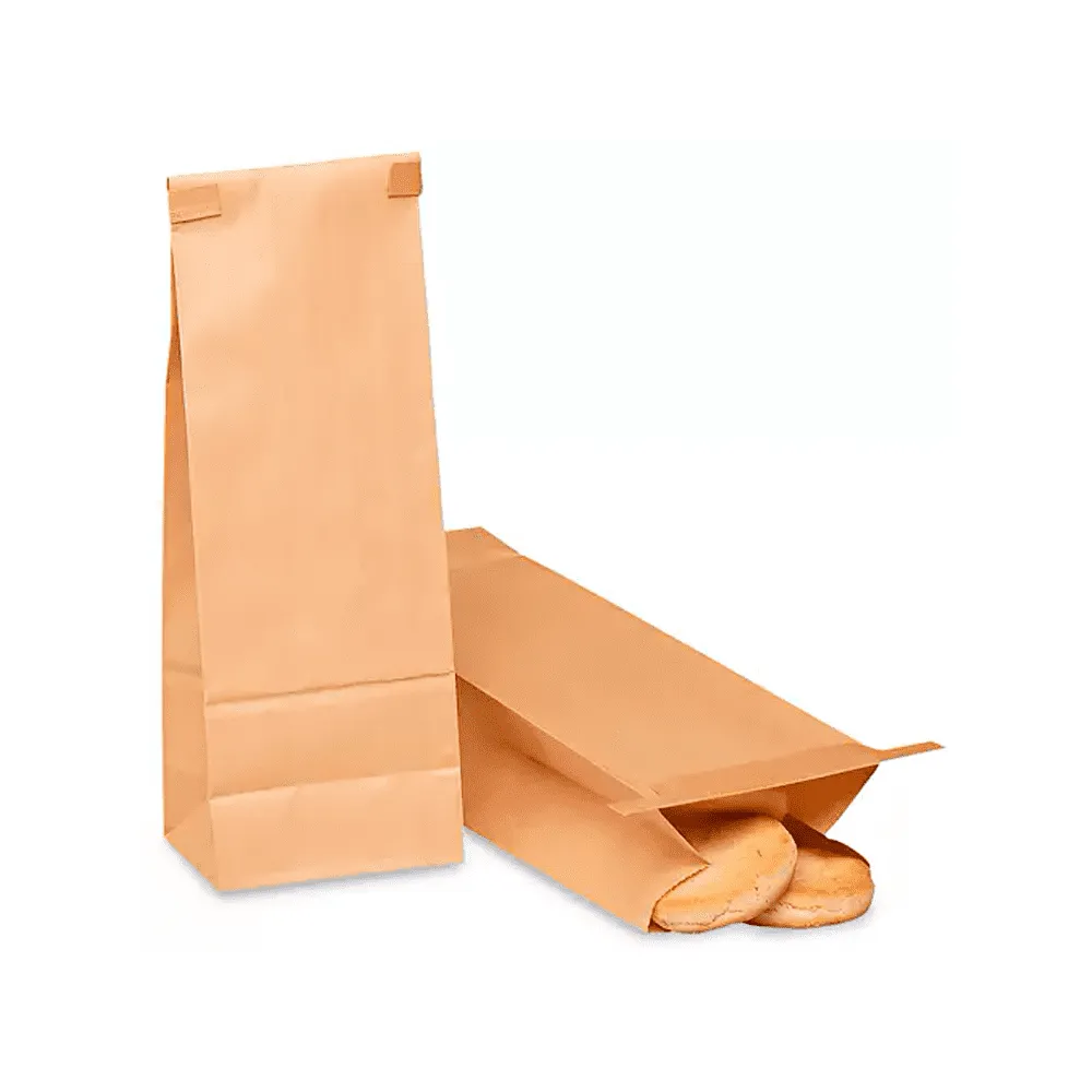 BOLSA DE ALIMENTOS