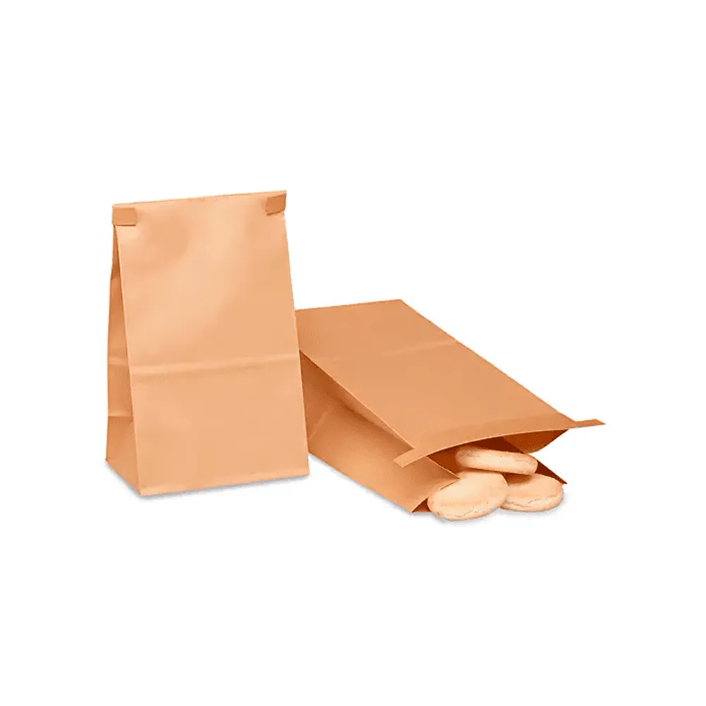 BOLSA DE ALIMENTOS