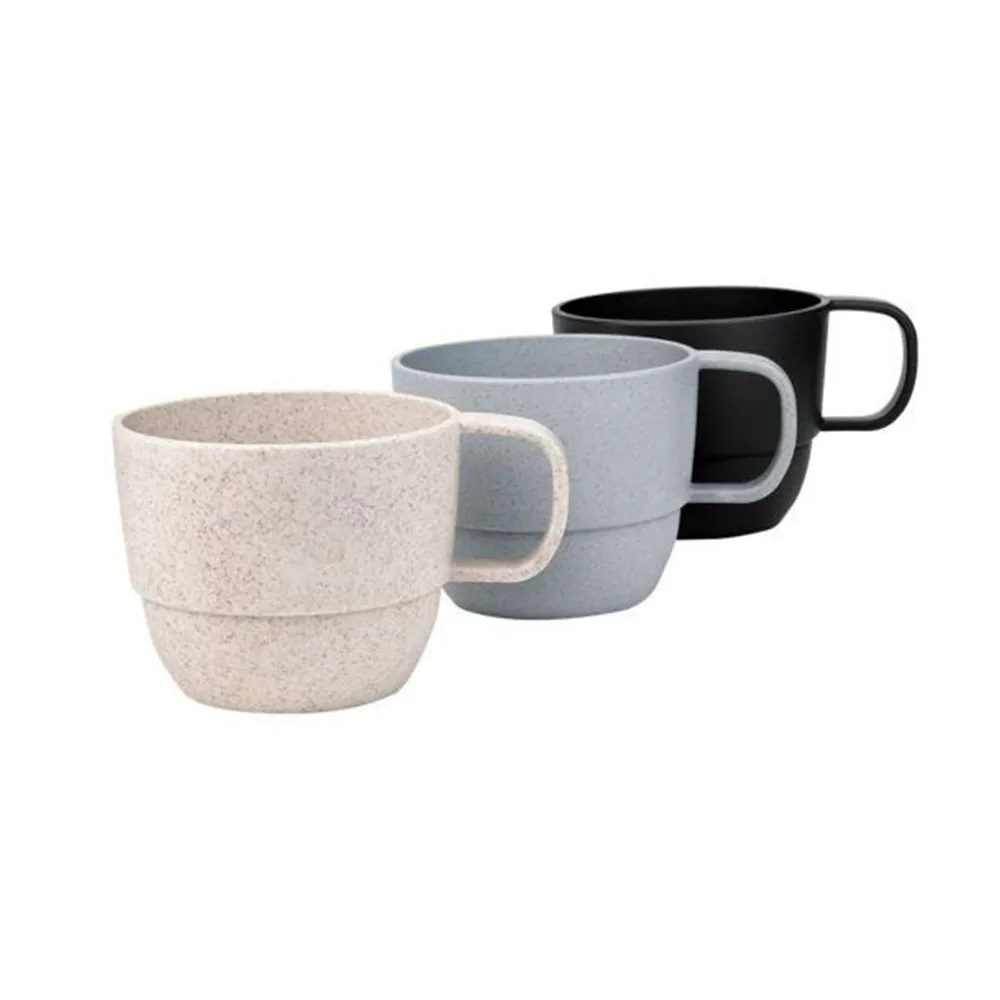 TAZA EVERTON