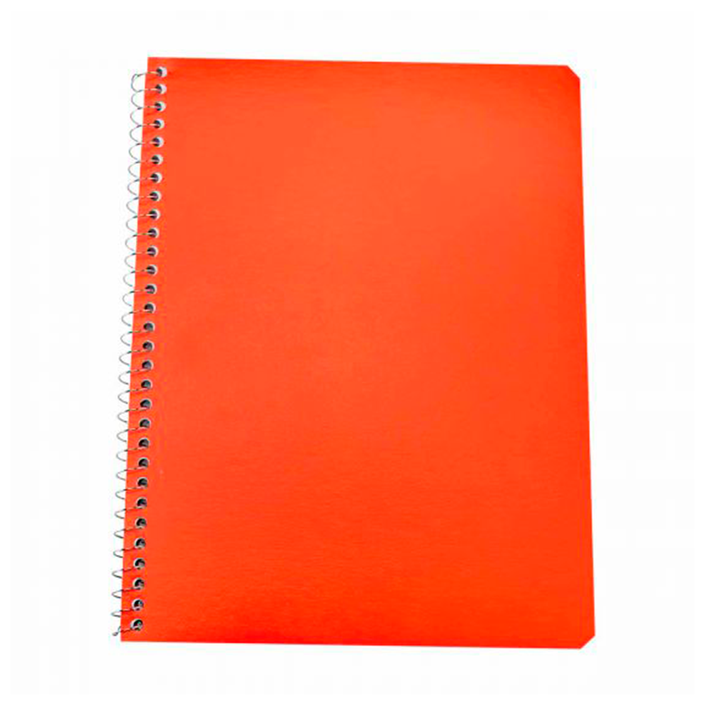 Vista 7 de CUADERNO PROFESIONAL