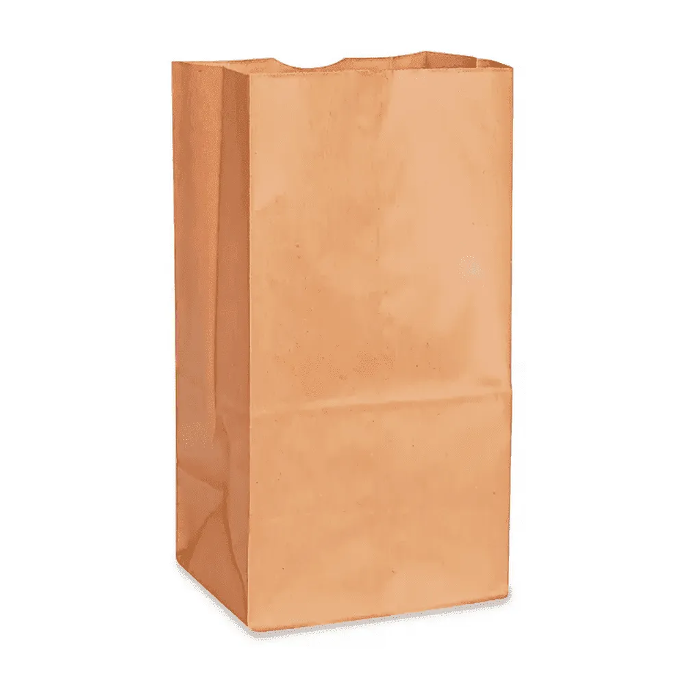 BOLSA DE SUPERMERCADO