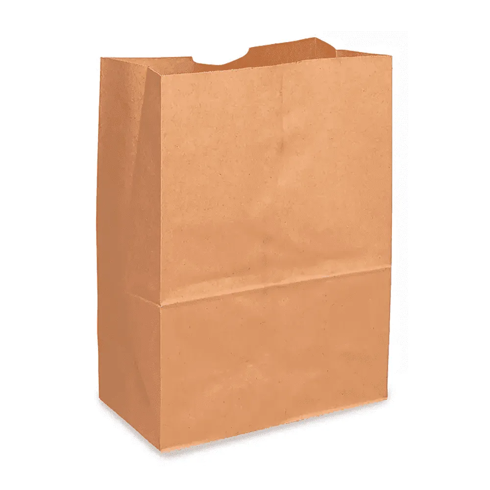 BOLSA DE SUPERMERCADO