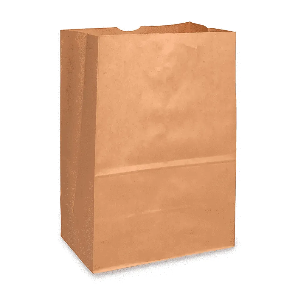BOLSA DE SUPERMERCADO