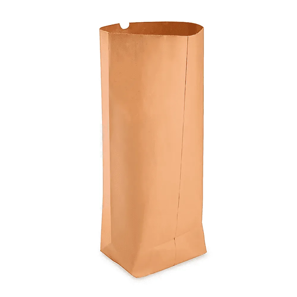 BOLSA DE SUPERMERCADO