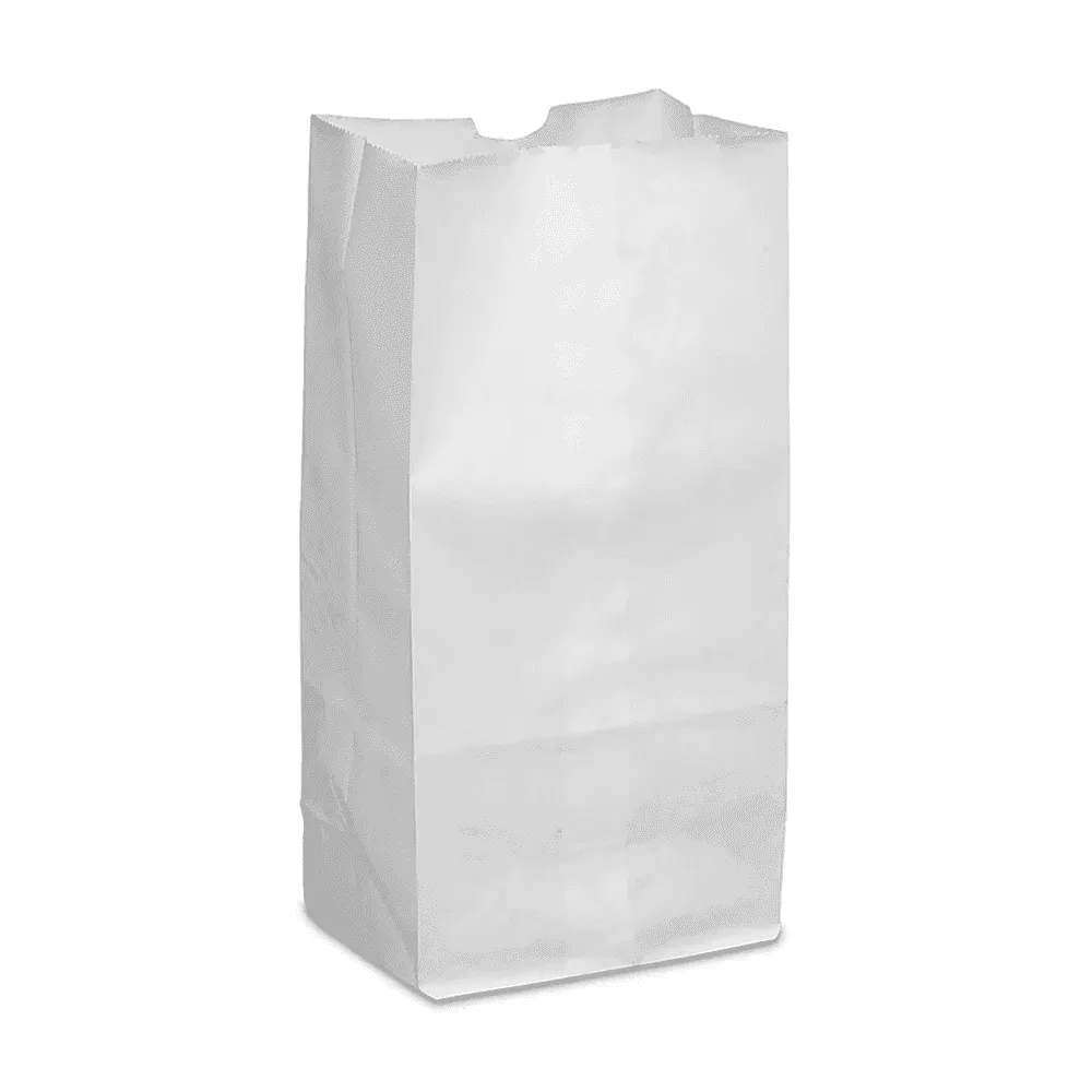 BOLSA DE SUPERMERCADO