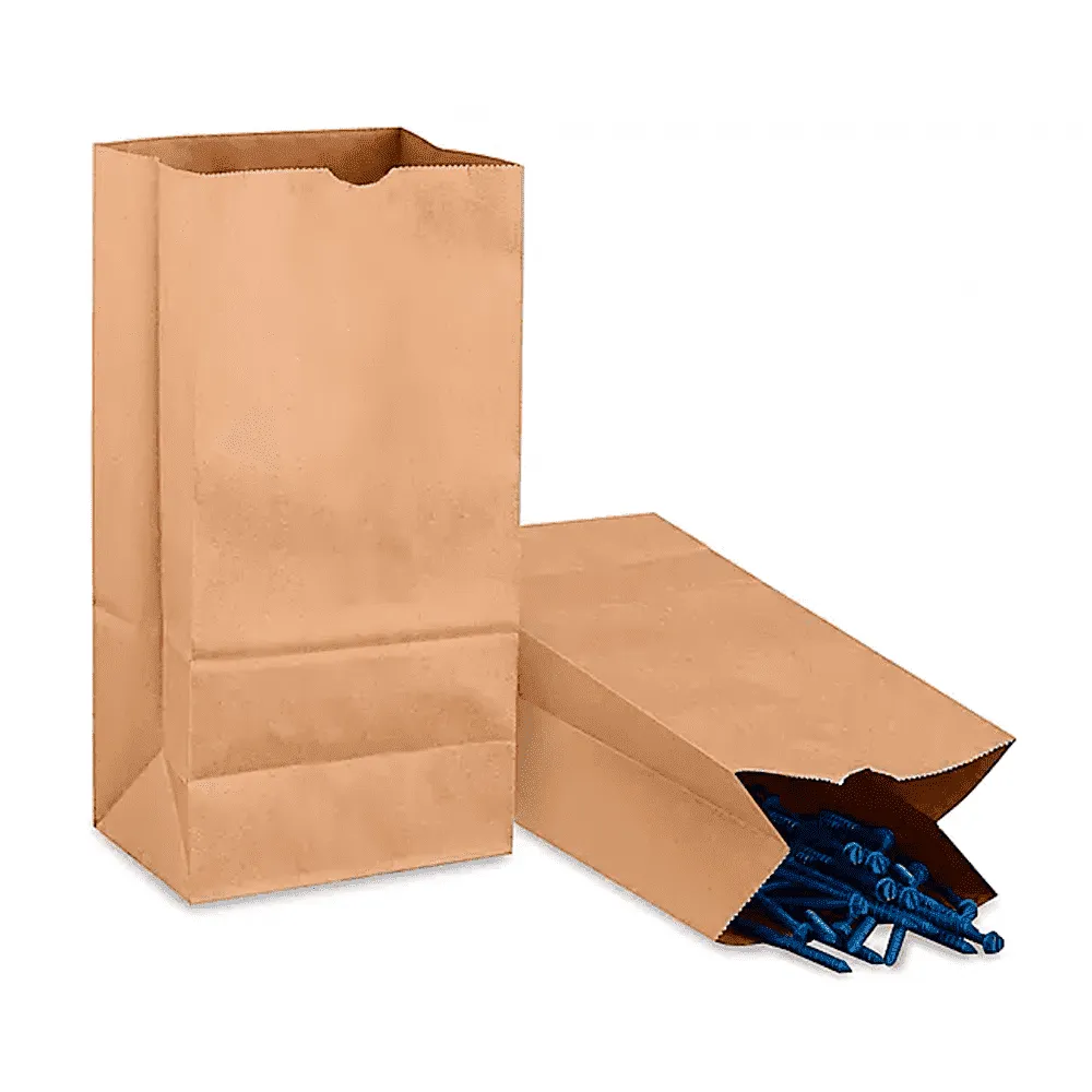 BOLSA DE SUPERMERCADO