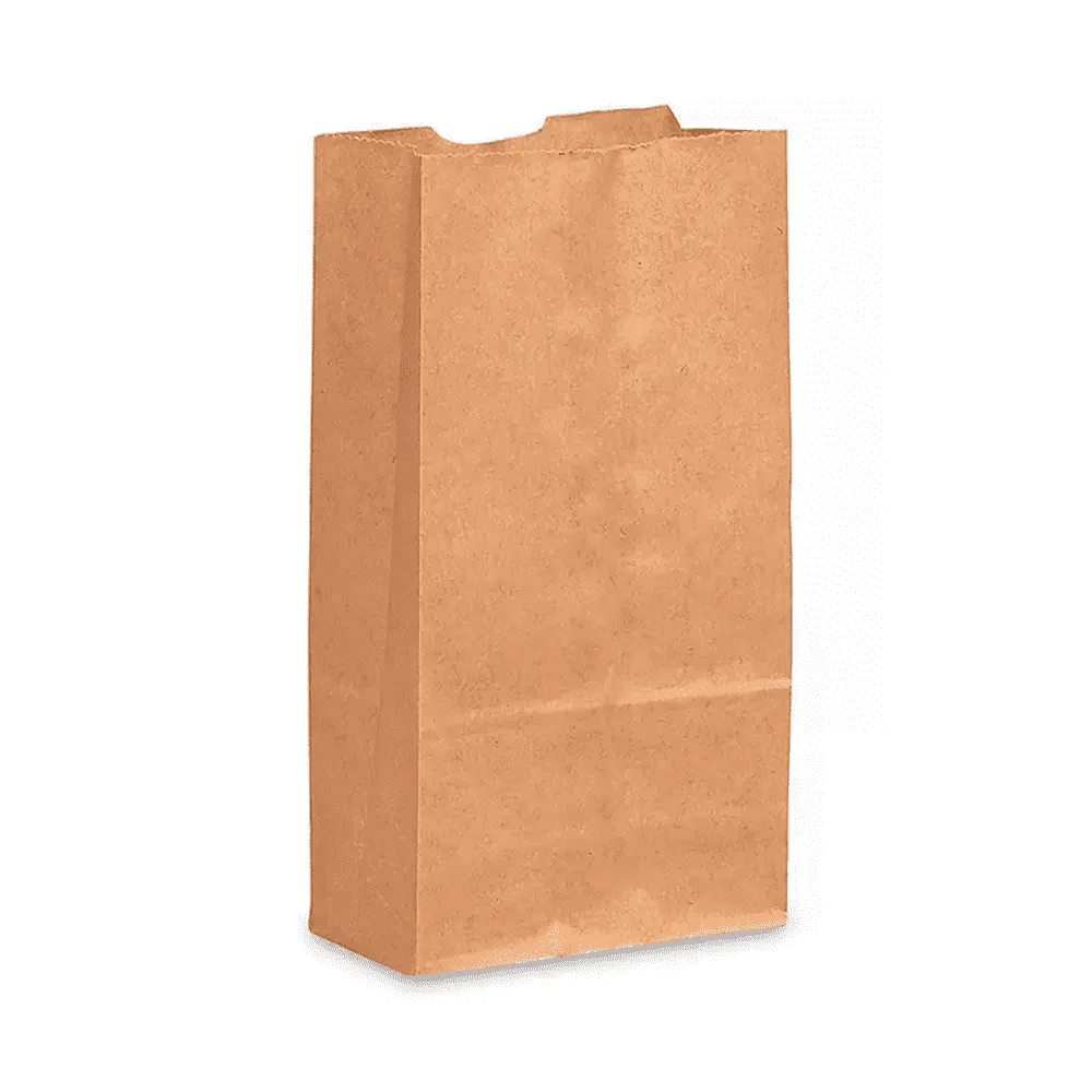 BOLSA DE SUPERMERCADO