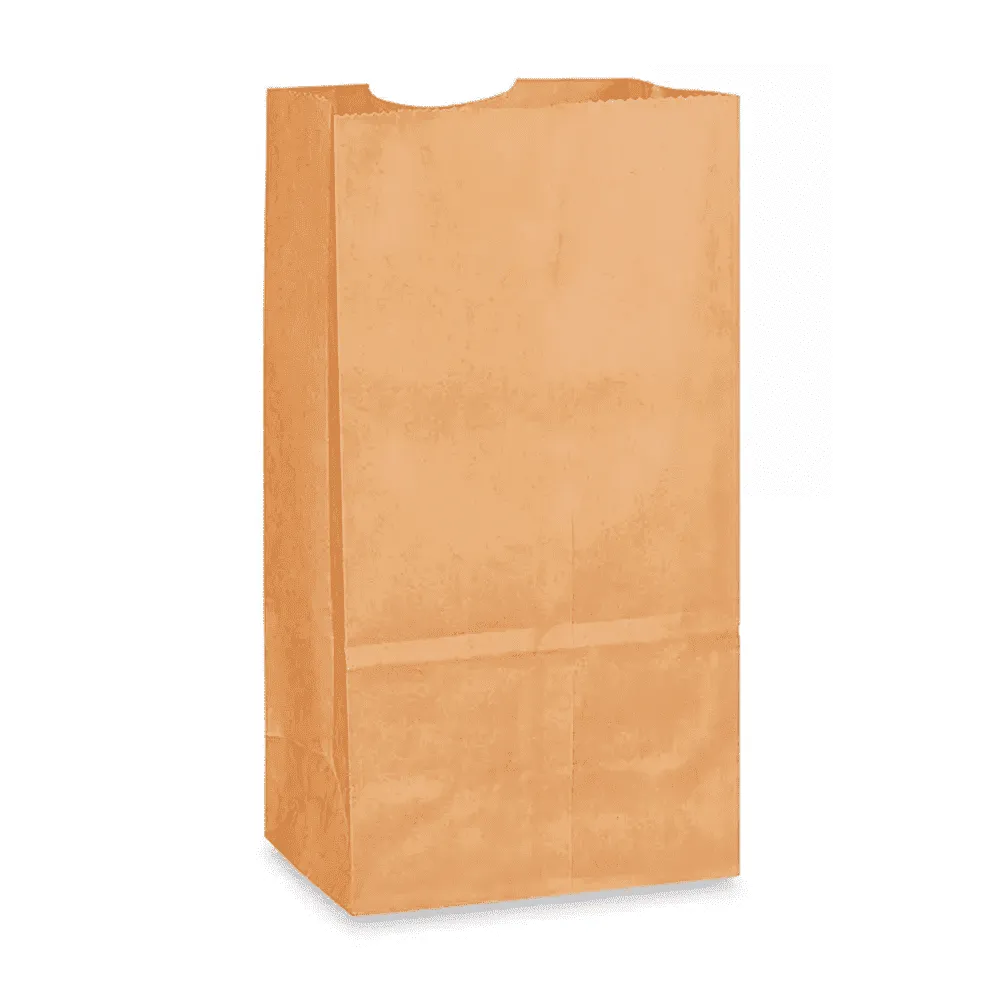 BOLSA DE SUPERMERCADO
