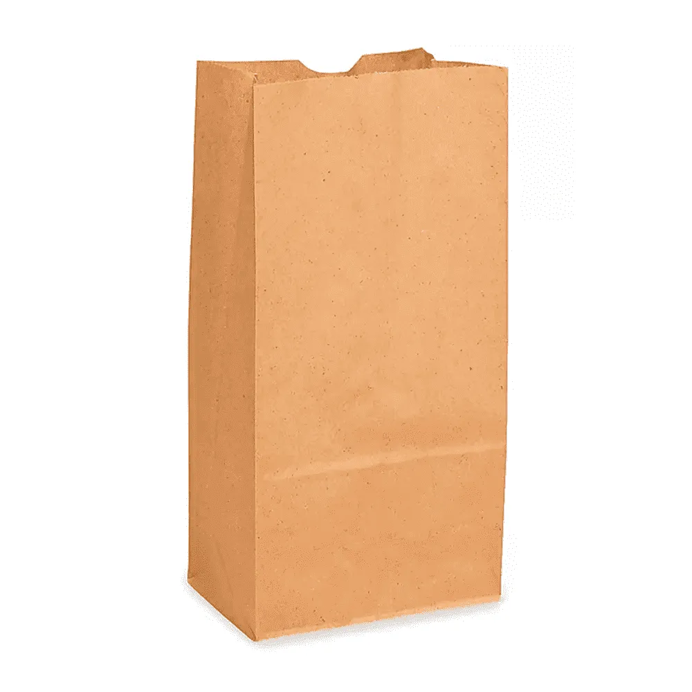 BOLSA DE SUPERMERCADO