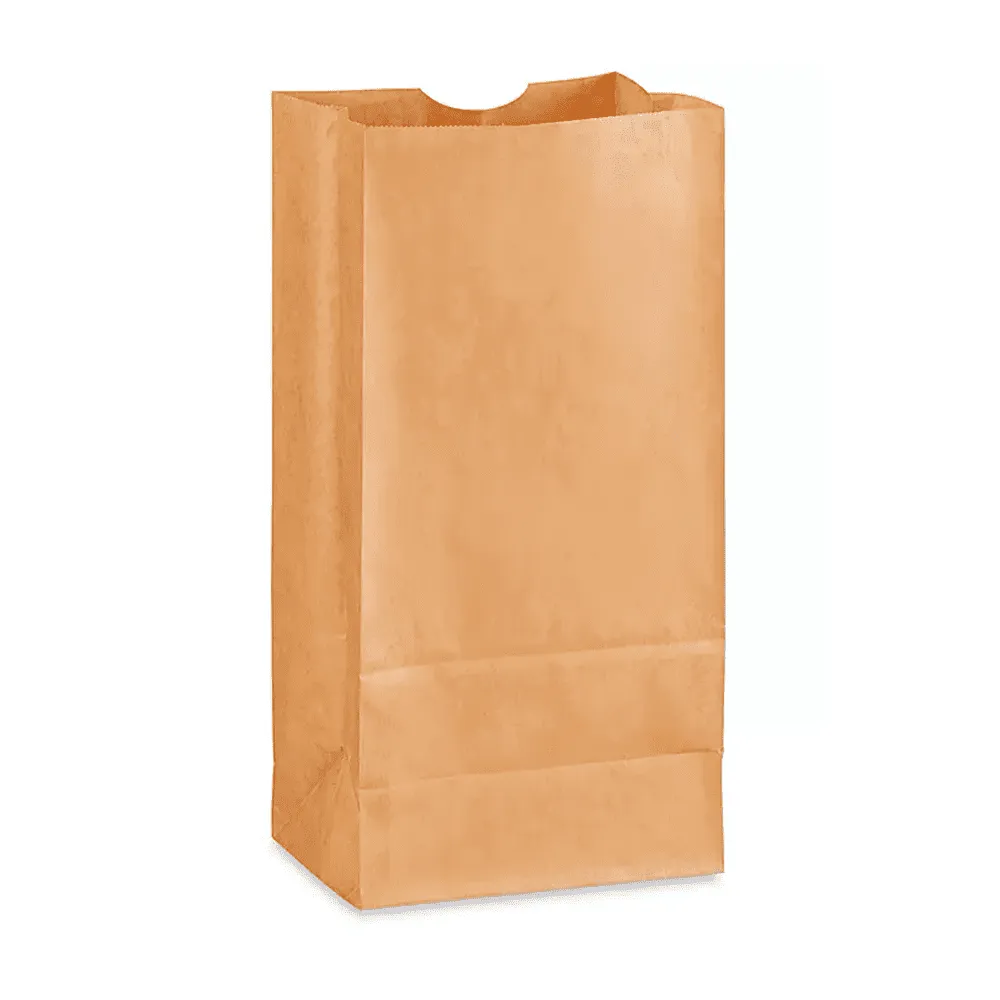 BOLSA DE SUPERMERCADO