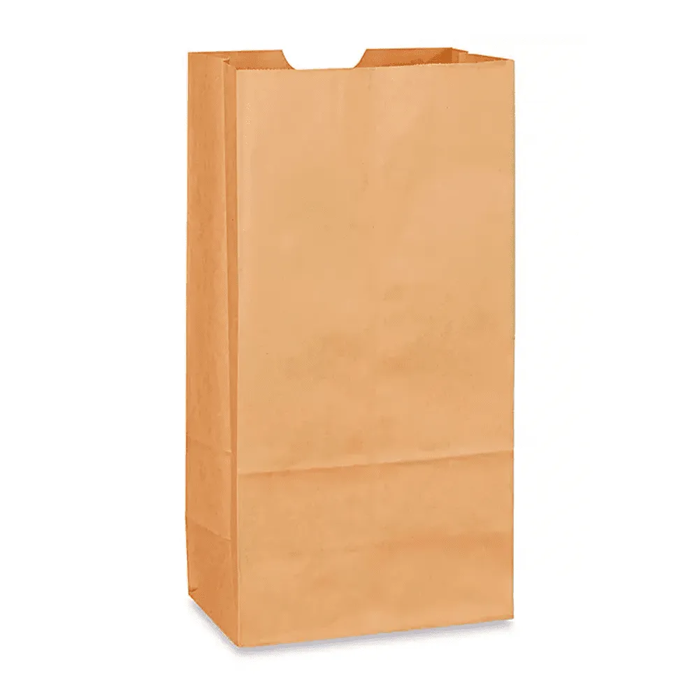 BOLSA DE SUPERMERCADO