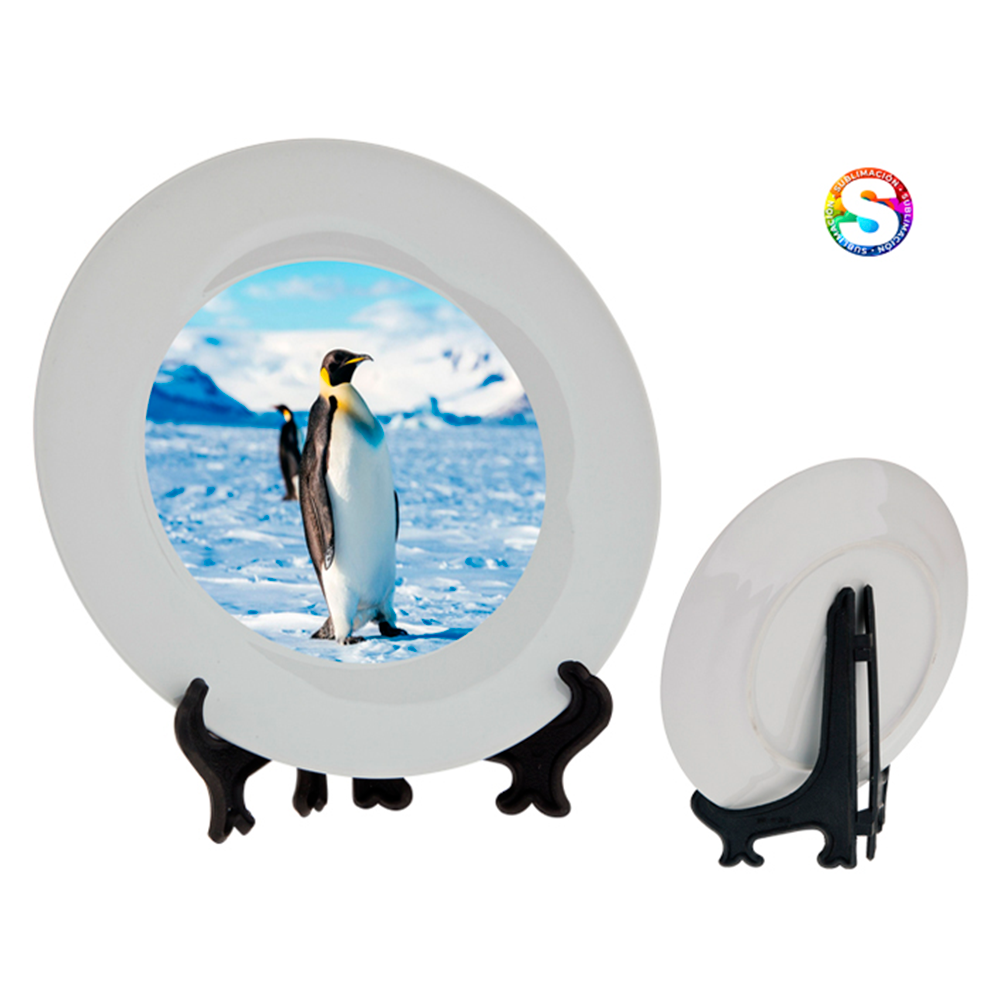 PLATO DE CERAMICA