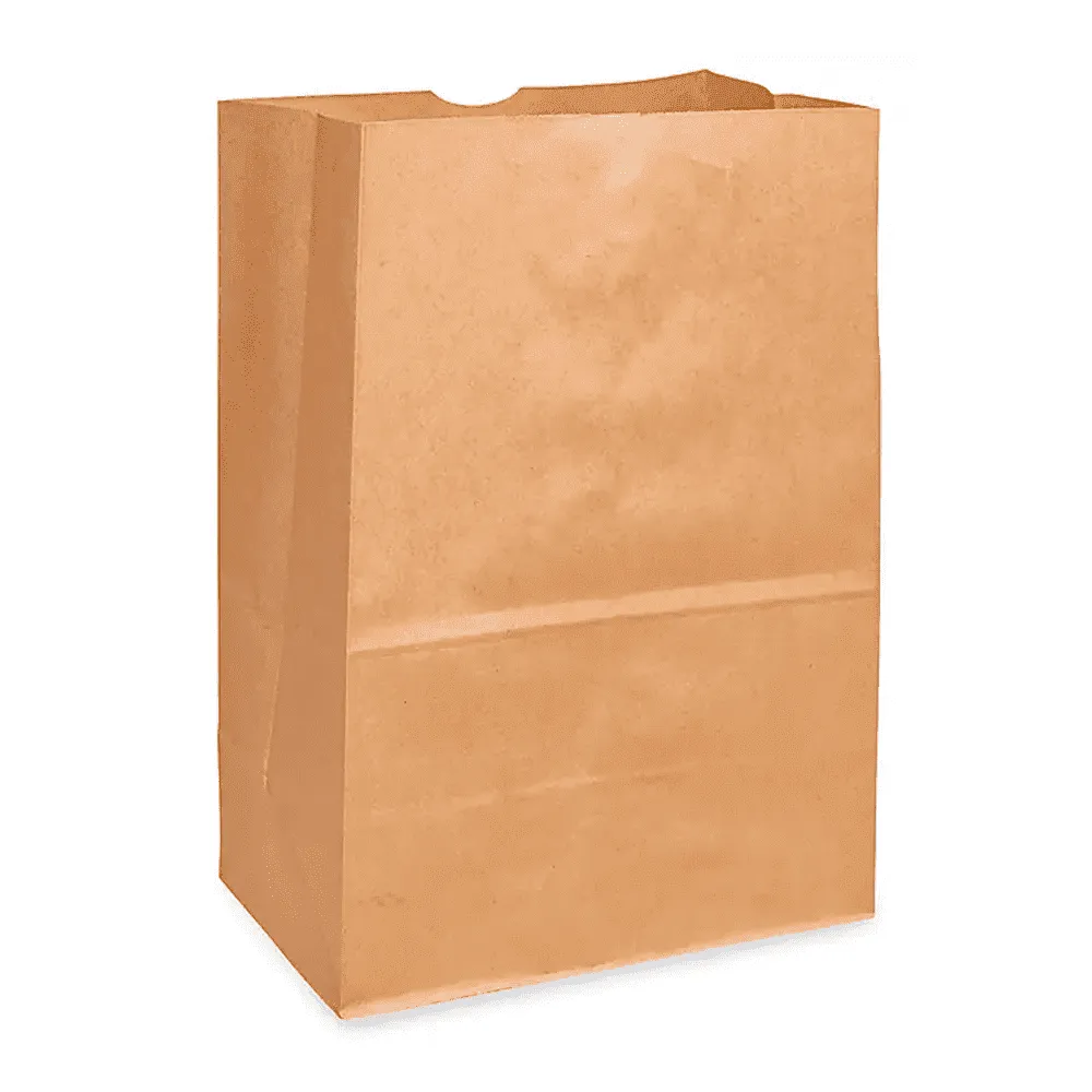 BOLSA DE SUPERMERCADO