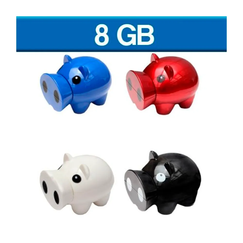 USB 8GB
