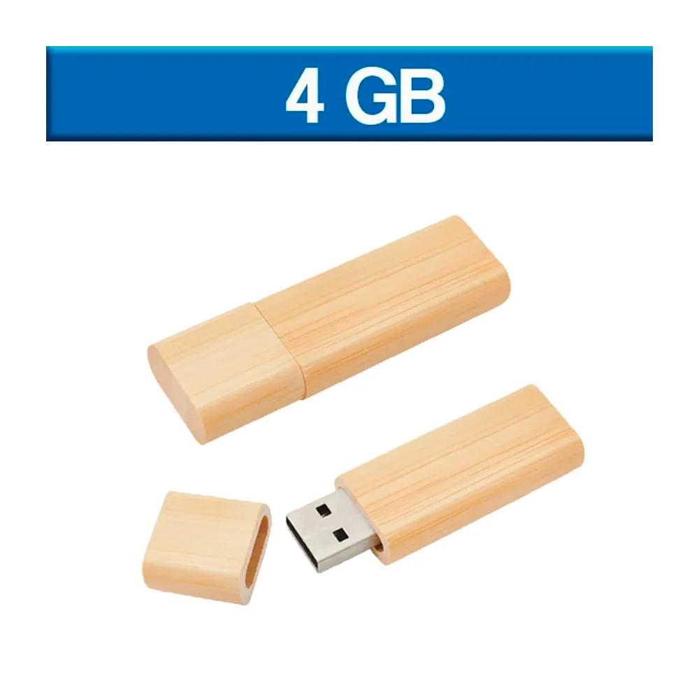 USB 4GB