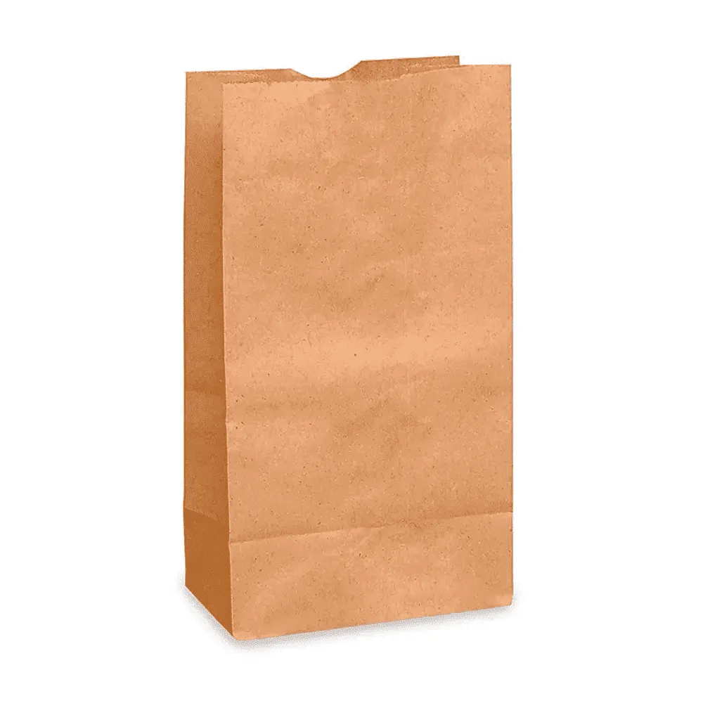 BOLSA DE SUPERMERCADO