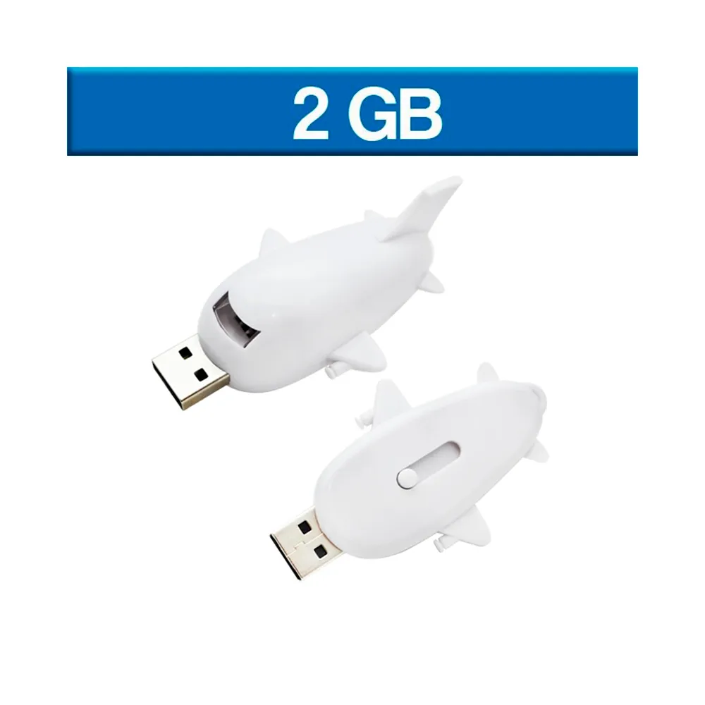 USB 2GB