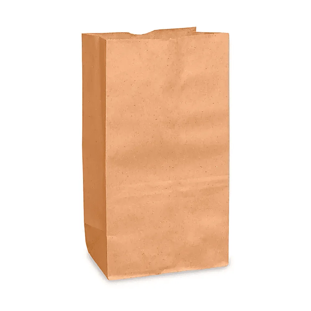 BOLSA DE SUPERMERCADO