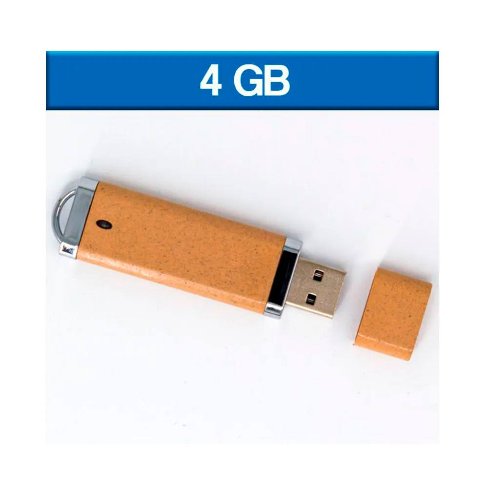 USB 4GB