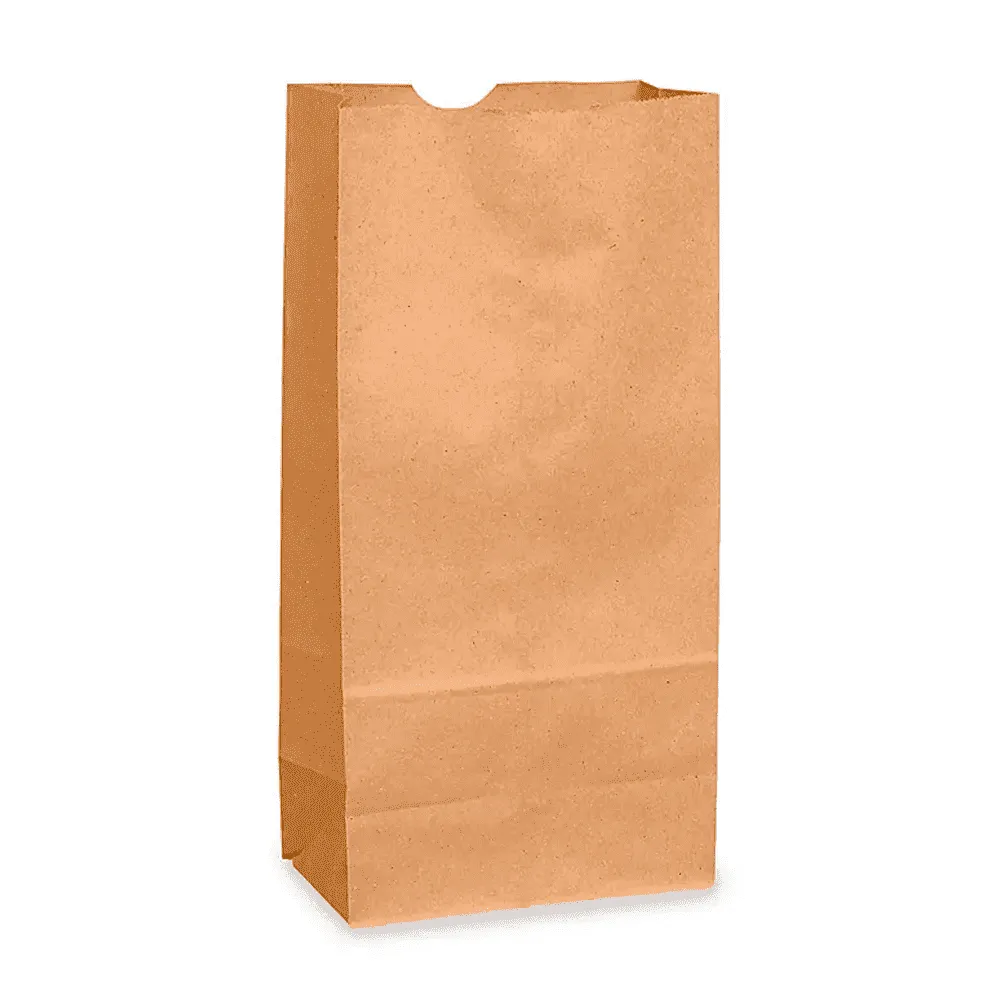BOLSA DE SUPERMERCADO